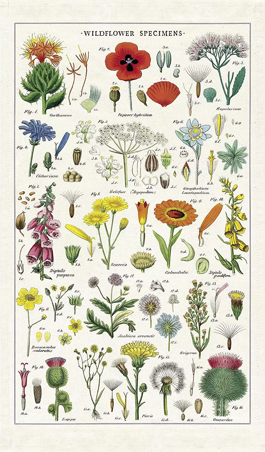 Wildflowers Tea Towel Cav